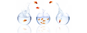 bloghead risk control | Rixent Risk Advisory