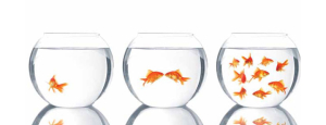 bloghead risk strategy | Rixent Risk Advisory
