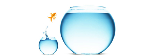 bloghead risk taking | Rixent Risk Advisory
