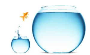 eknols risk management
