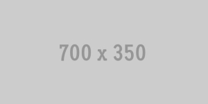 services placeholder 700x350 | Rixent Risk Advisory