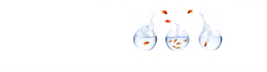 slider bg risk control | Rixent Risk Advisory